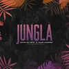 About Jungla Song