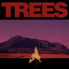 About Trees Song