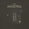 Ancestral Novalima Remix