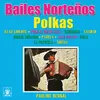 Polkas Mexicanas Instrumental