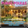 La Guadalupana Puras Polkas