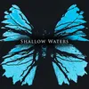 Shallow Waters