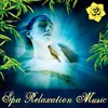 By Moonlight: Serenity Relaxing Spa Music (feat. Gary Stroutsos)