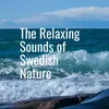 Calming Ocean Waves