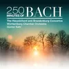 Concerto No. 3 in D Major for Harpsichord and Orchestra, BWV 1054: II. Adagio e piano sempre