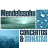 Concerto in E Minor for Violin and Orchestra, Op. 64: II. Andante