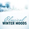 The Four Seasons (Le quattro stagioni), Op. 8 - Violin Concerto No. 4 in F Minor, RV 297, "Winter" (L'inverno): II. Largo