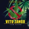 About Vitu Zangu Song