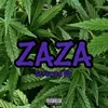 About ZAZA Screwed Up Song