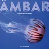 About Ámbar (Quiero decirme) Song