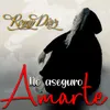 About No aseguro amarte Song