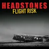 About Flight Risk Song