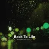 About Back To Life Song