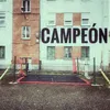 About Campeón Song