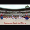 Pamplona Perla del Norte