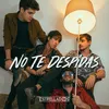 About No Te Despidas Song