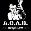 About A.C.A.B. Song