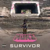 About Survivor Song