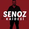 About Senoz Kaidesi Song