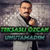 About Unutamadım Song