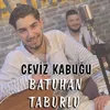 About Ceviz Kabuğu Song