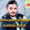 About Çantada Keklik Song