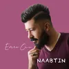 About Naabtın Song
