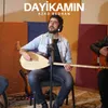 Dayikamın