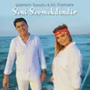 About Seni Sevmekdendir Song