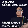 About Aşkın Mapushane Song