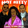 About Hot Kitty Song