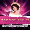 About Can You Feel It Song