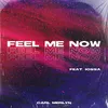 About Feel Me Now Song