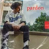 About Pardon Song