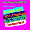 Finale: Any Dream Will Do, Give Me My Coloured Coat