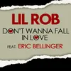 About Don't Wanna Fall in Love (feat. Eric Bellinger) Song