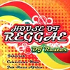 Jah Bless Africa Ragga House Mix