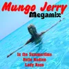 About Mungo Jerry (Megamix No.1) Song