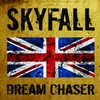 About Skyfall Trip Hop Remix Song