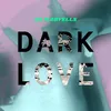 About Dark Love Song