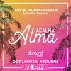 About Acalma a Alma-Dot Larissa, Kbourne Remix Song