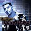 Picture Perfect-Slim Tim Remix