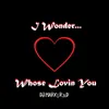 About I Wonder...Whose Lovin You Song