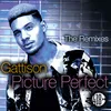 Picture Perfect-Shaw Quentin Remix