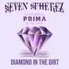 Diamond in the Dirt