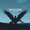 About Echoes Song