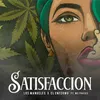 About Satisfacción Song