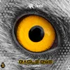 About Eagle Eye Song