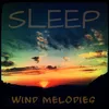 Wind Eye Sleep