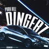 About Dingerz Song